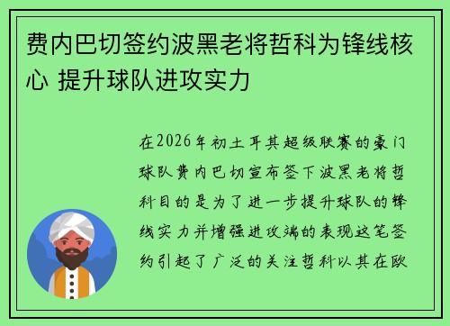 费内巴切签约波黑老将哲科为锋线核心 提升球队进攻实力 费内巴切签约波黑老将哲科为锋线核心 提升球队进攻实力